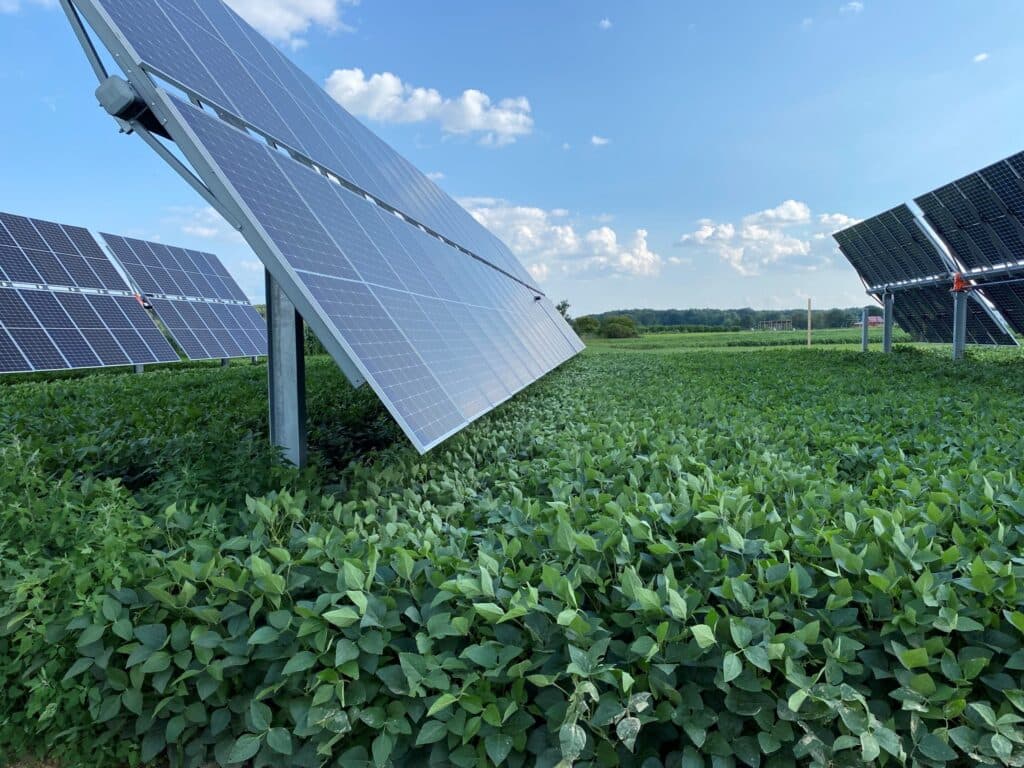 2d2b6a03-93eb-80f5-a13f-d272b73ff418-spade-agrivoltaics.jpg