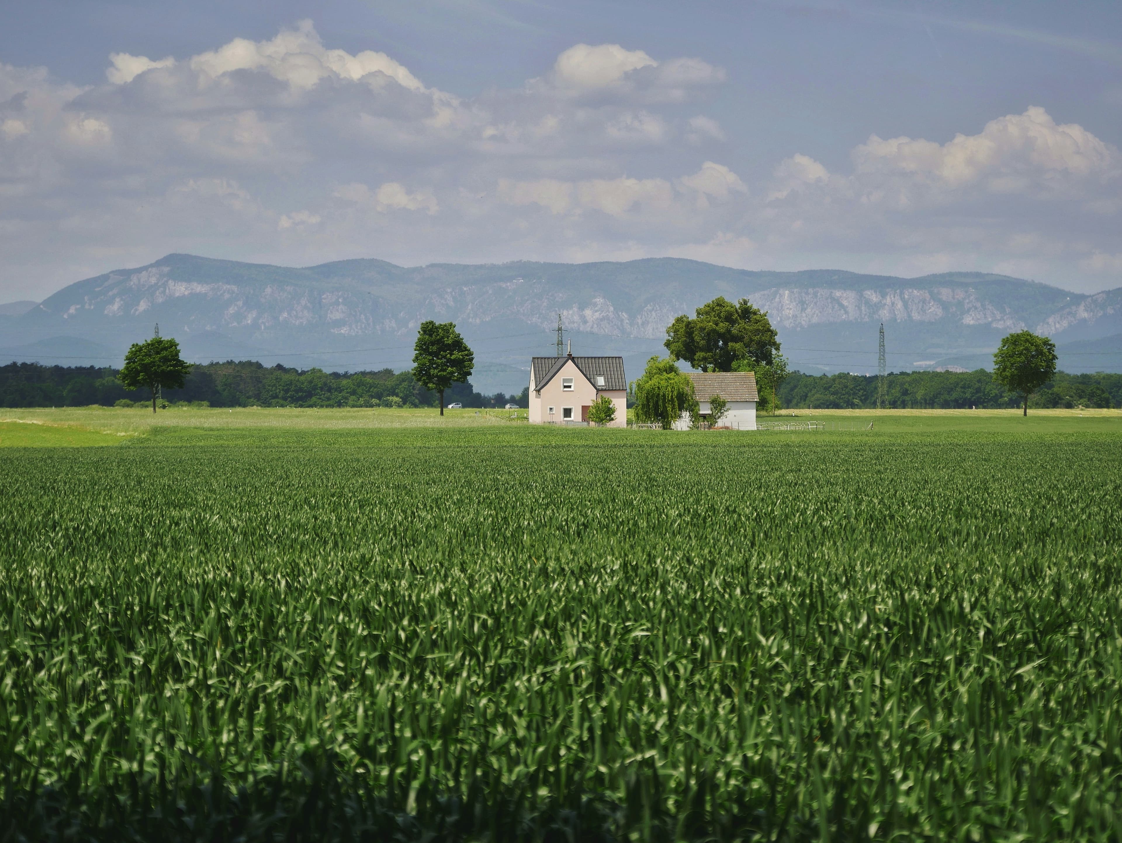 Spade Agrivoltaics - Agrivoltaics for Small Operations: Is It Worth It? - Post Image