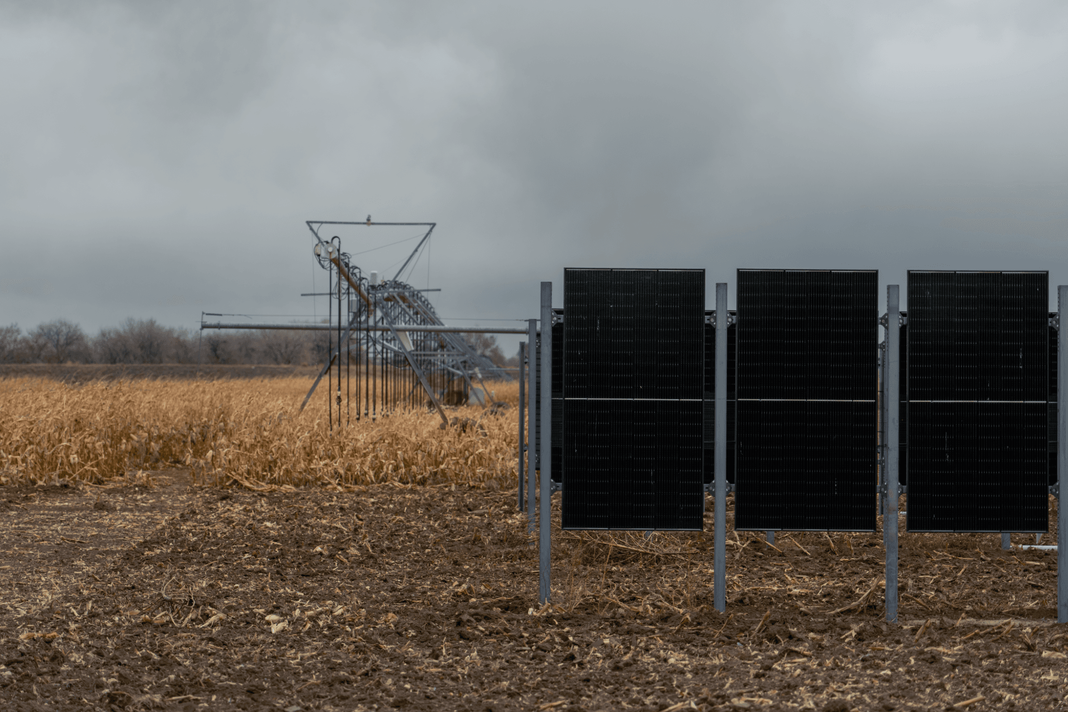 Spade Agrivoltaics - The Good, The Bad, and The Ugly: A Review of 2025 - Post Image